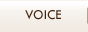 VOICE