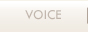 VOICE